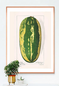 Watermelon Antique Vintage Fruit Print