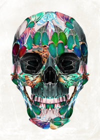 White Wings Skull Print