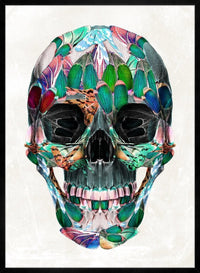 White Wings Skull Print