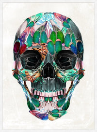 White Wings Skull Print