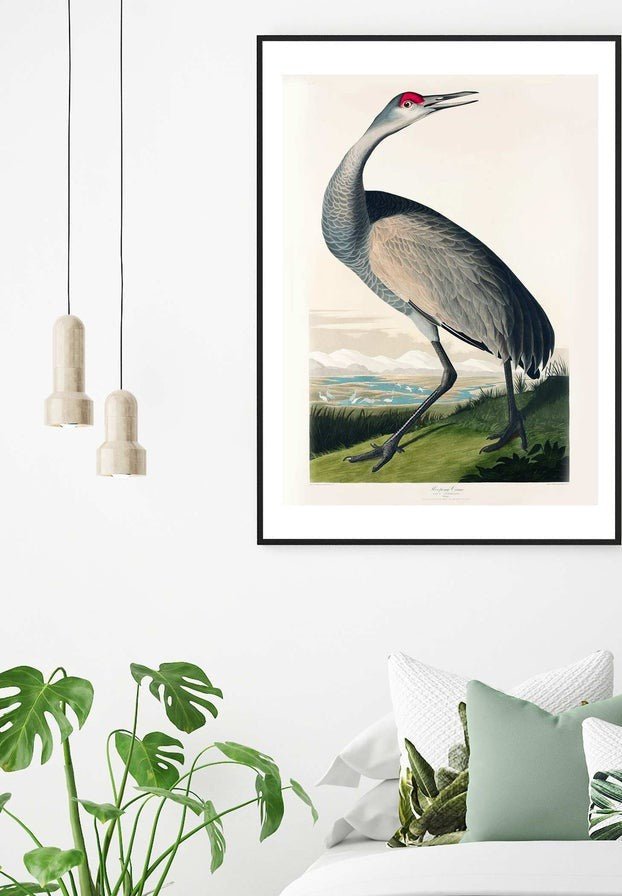 Whooping Crane Vintage Bird Print
