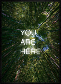 You Are Here Forest Neon Print