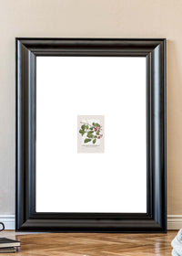 The Most Wonderful Time Of Year Holly Christmas Print