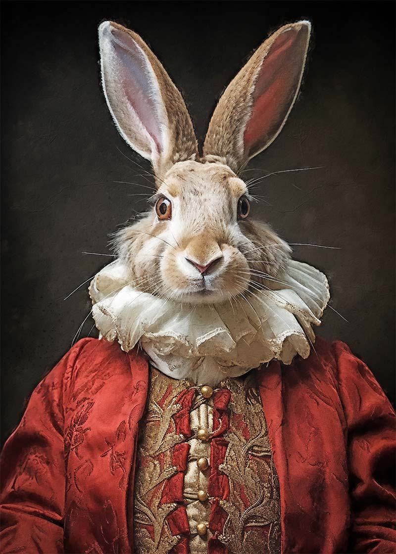 Christmas Rabbit Animal Portrait Print
