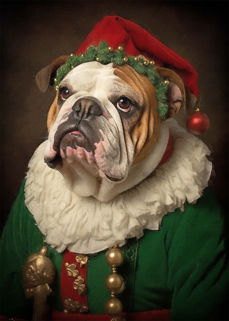 Christmas Elf Bulldog Animal Portrait Print