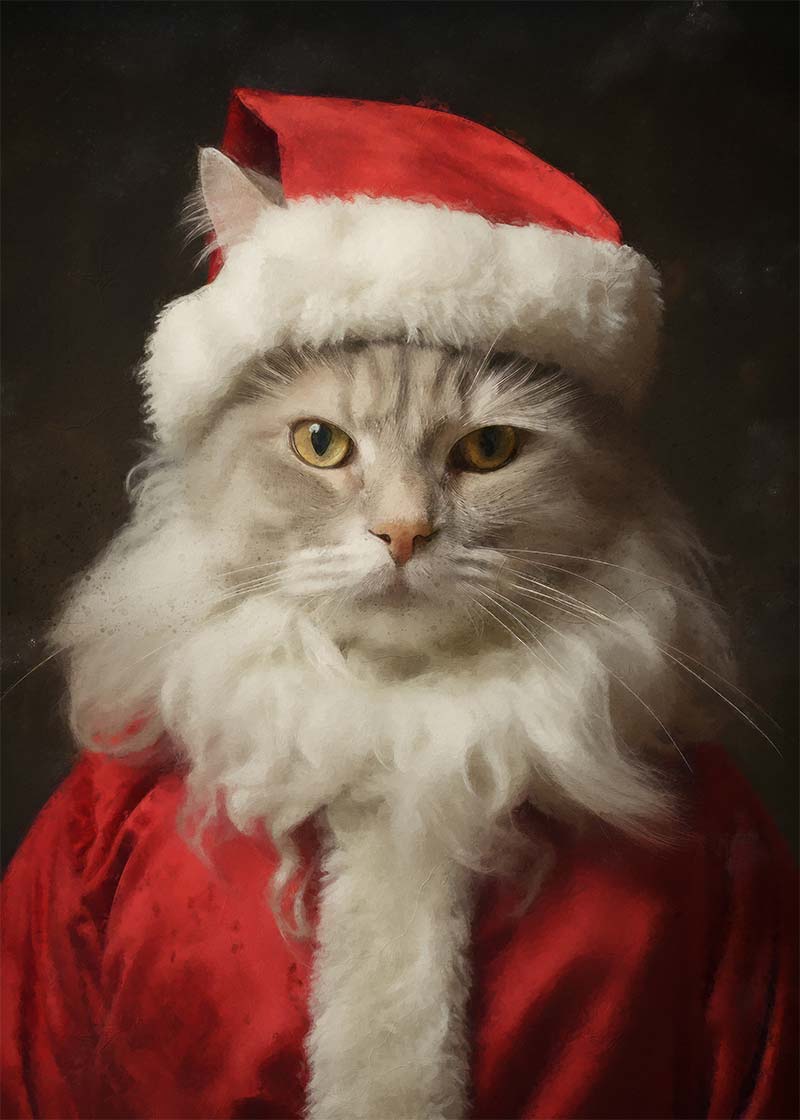 Christmas White Cat Animal Portrait Print