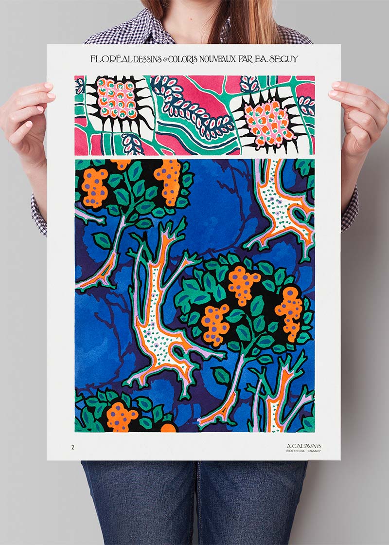 Emile-Alain Séguy Art Nouveau Pattern Print 012