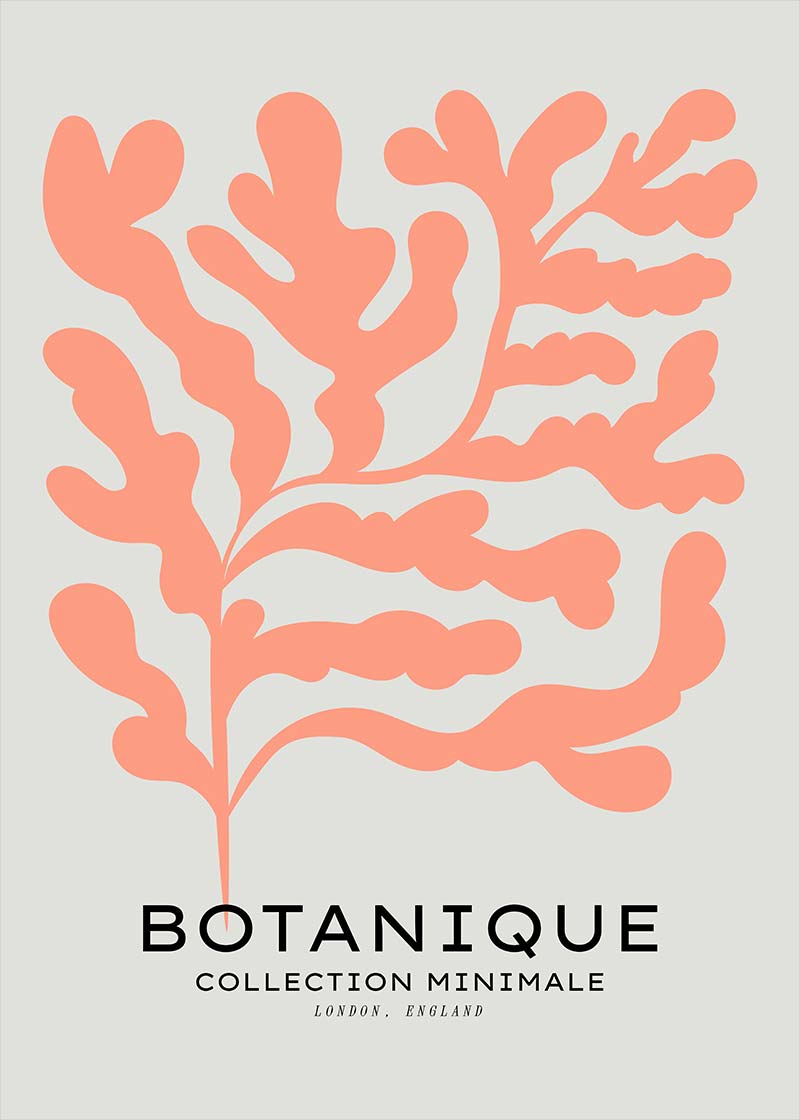 Botanique Minimal Floral Cut Out Print