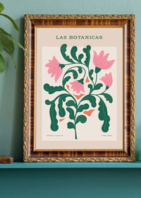 Las Botanicas Illustrated Flower Roses Print