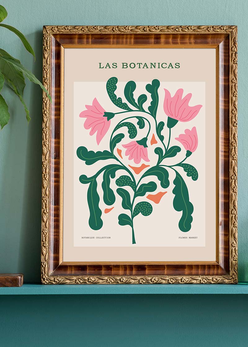 Las Botanicas Illustrated Flower Roses Print