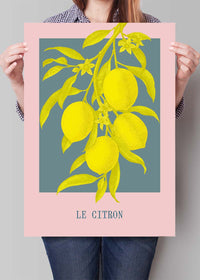 Le Citron Vintage Lemons Print