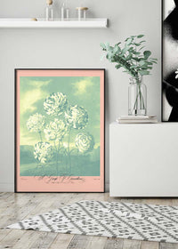 A Group Of Carnations Pastel Flowers Print