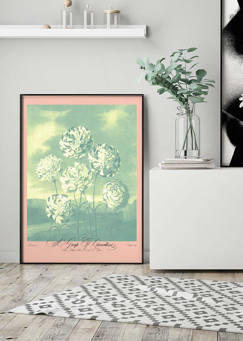 A Group Of Carnations Pastel Flowers Print