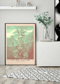Narrow Leaved Kalmia Pastel Print