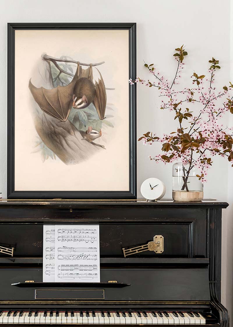 Vintage Bats Halloween Print