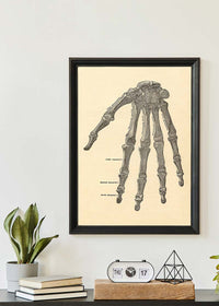 Vintage Medical Skeleton Hand Illustration Print