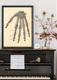Vintage Medical Skeleton Hand Illustration Print