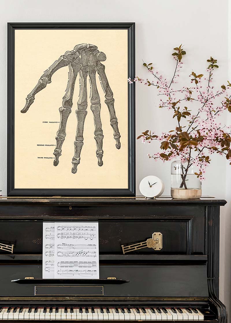 Vintage Medical Skeleton Hand Illustration Print