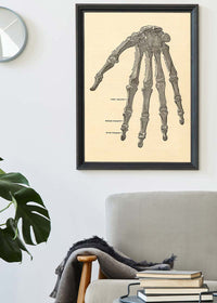 Vintage Medical Skeleton Hand Illustration Print