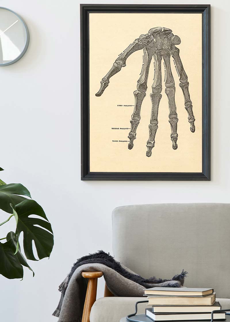 Vintage Medical Skeleton Hand Illustration Print