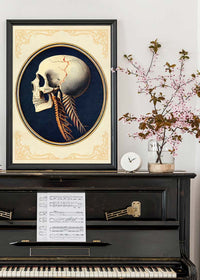 Vintage Skull Medical Diagram Side View Print