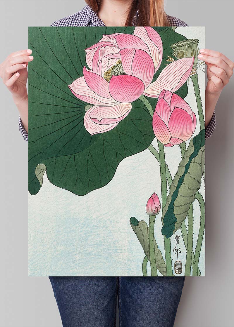 Blooming Lotus Flowers by Ohara Koson