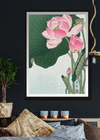 Blooming Lotus Flowers by Ohara Koson