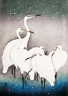 Group of Egrets Herons by by Ohara Koson