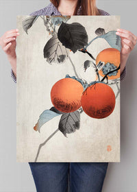 Nuthatcher atop Persimmons by Ohara Koson