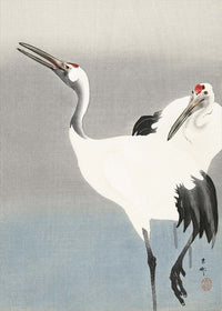 Two Cranes by Ohara Koson