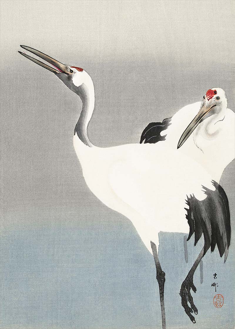 Two Cranes by Ohara Koson