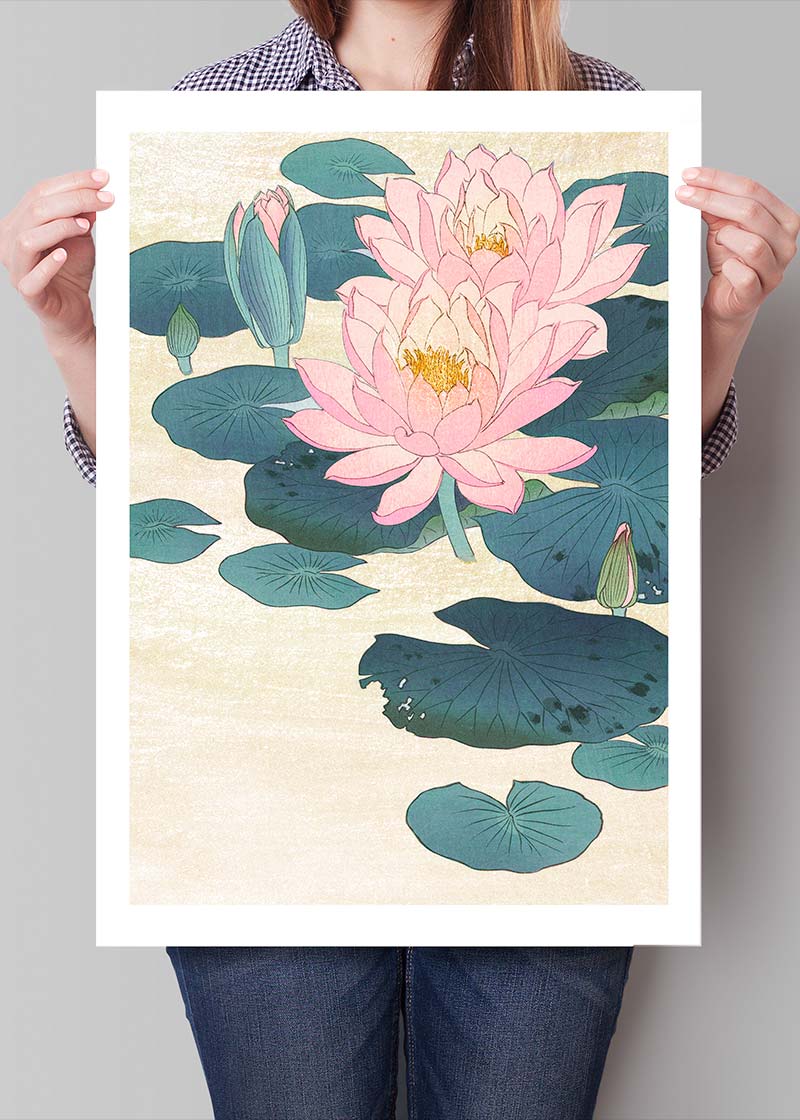 Water Lily by Ohara Koson