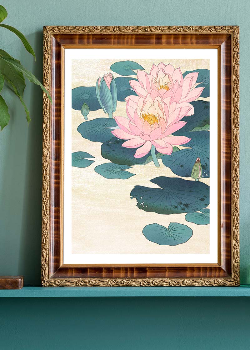 Water Lily by Ohara Koson
