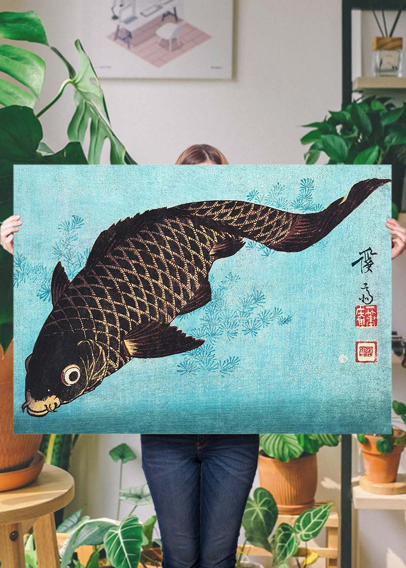 Koi Carp Japanese fish illustration by Keisai Eisen