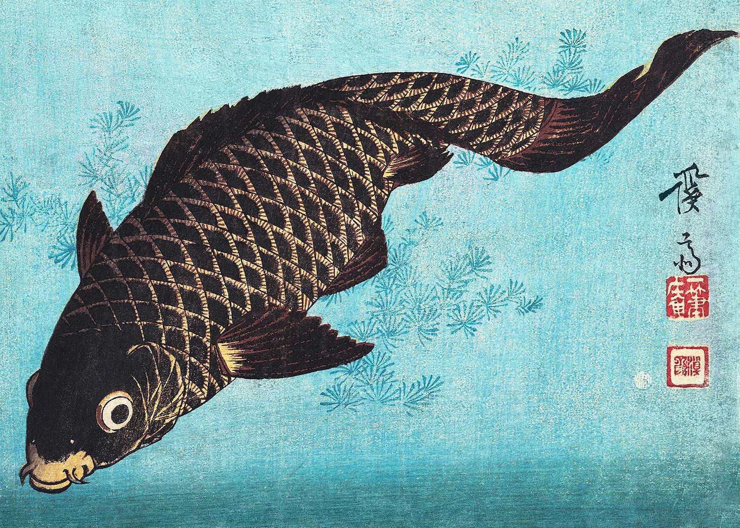 Koi Carp Japanese fish illustration by Keisai Eisen