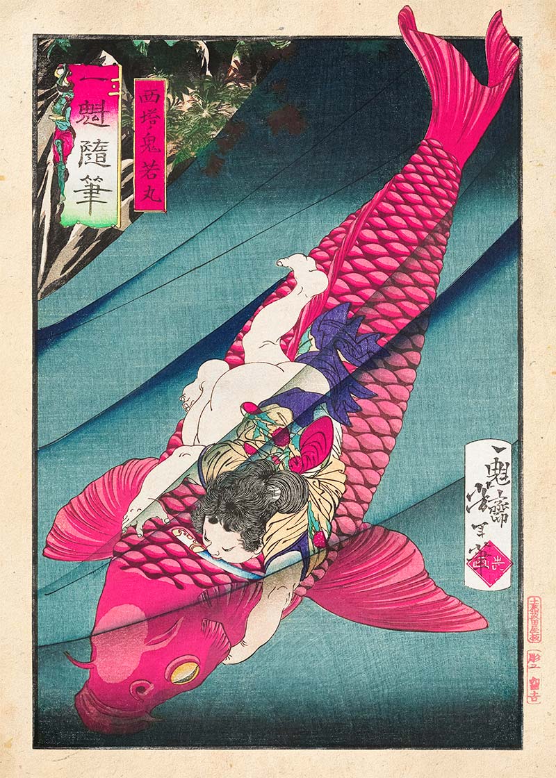 Saitō no Oniwakamaru Pink Koi Carp Fish by Tsukioka Yoshitoshi
