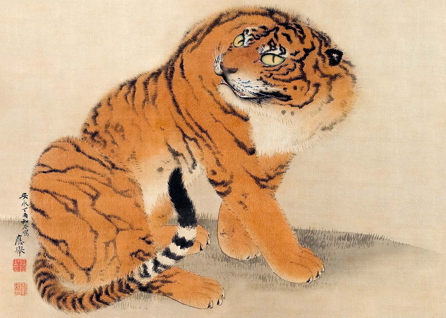 Sitting Tiger 1777 by Maruyama Ōkyo