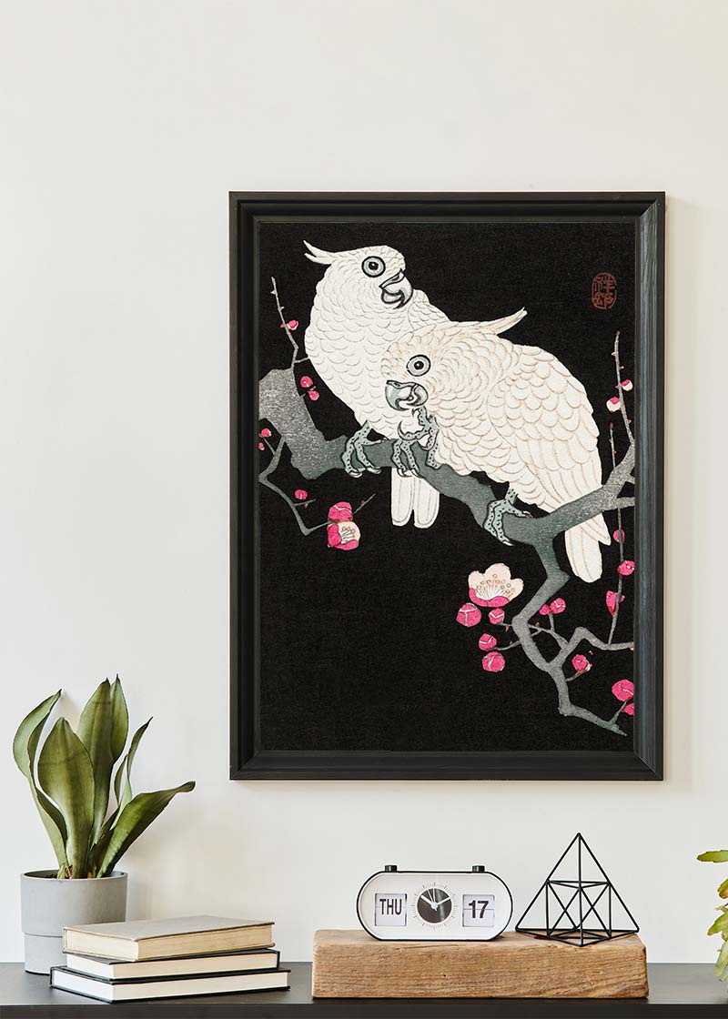 Two cockatoo and plum blossom by Ohara Koson