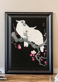 Two cockatoo and plum blossom by Ohara Koson