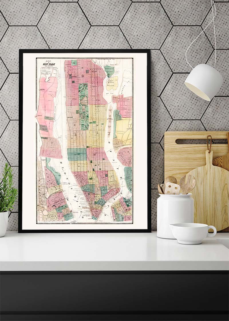 1869 New York City and Vicinity Map by Matthew Dripps