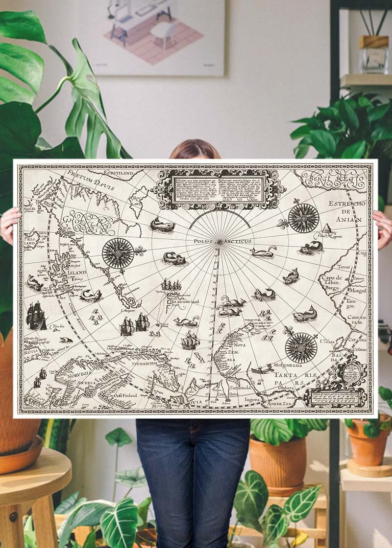 Map Of The Arctic from 1598