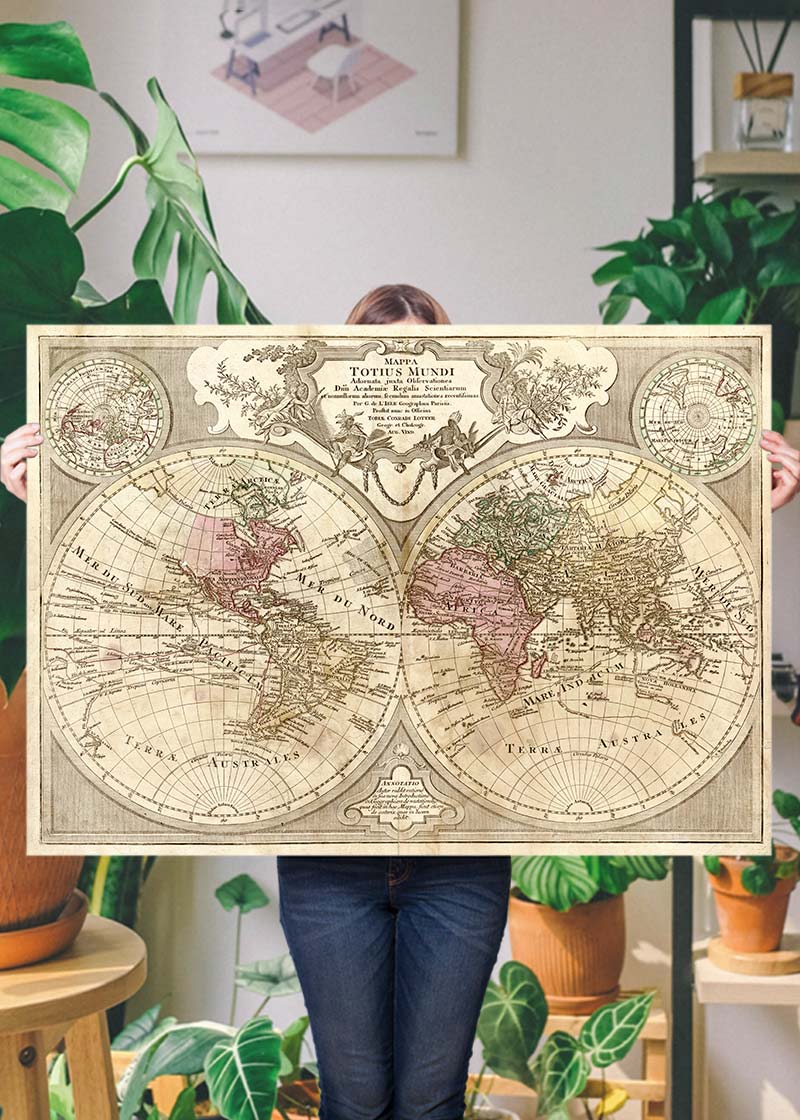 Decorative Large Double Hemisphere World Map