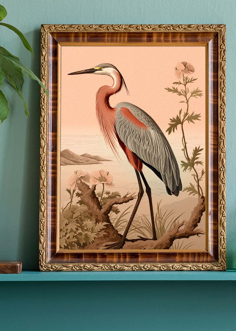 Vintage Heron Illustration Peach Print