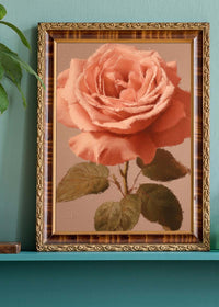 Large Close-Up Peach Rose Painting