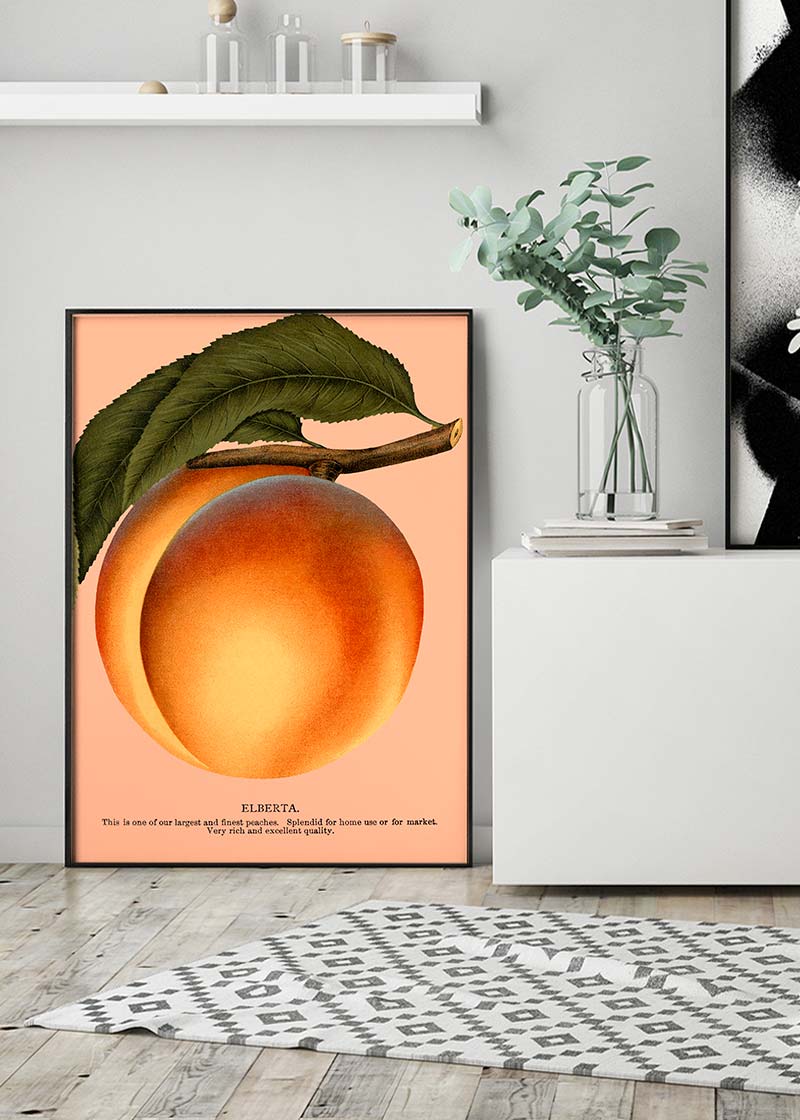 Large Vintage Elberta Peach Print