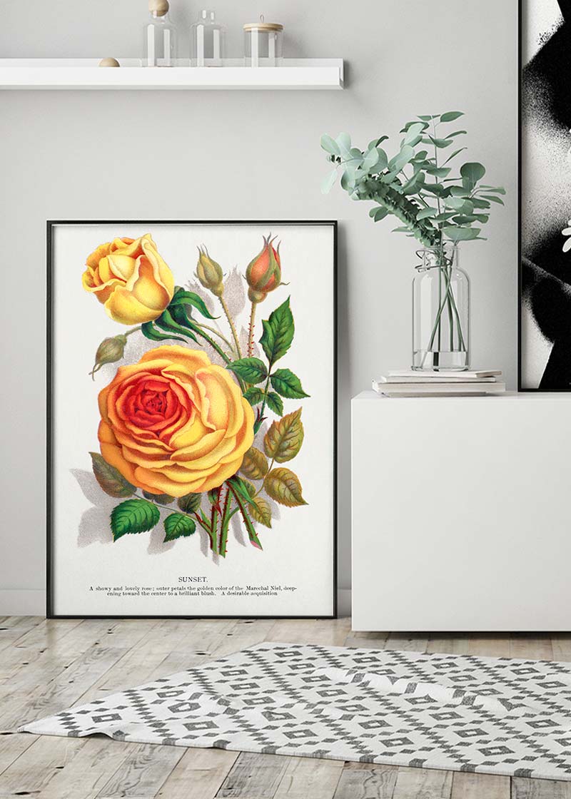 Sunset Rose Vintage Lithograph Print