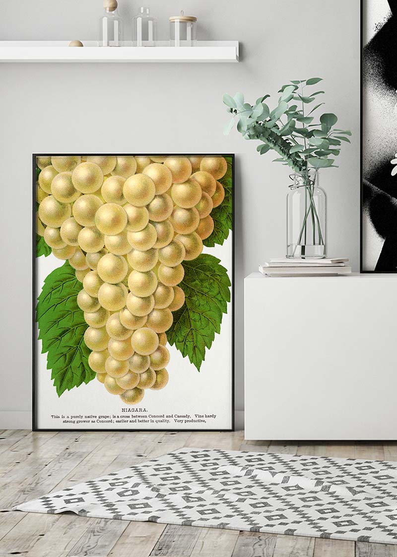 Niagara Grape Vintage Lithograph Print