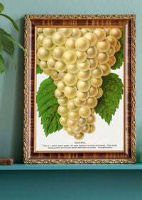 Niagara Grape Vintage Lithograph Print