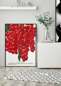 Fay's Prolific Currant Vintage Lithograph Print