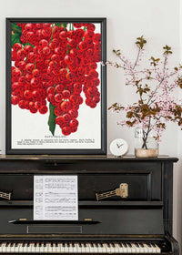 Fay's Prolific Currant Vintage Lithograph Print